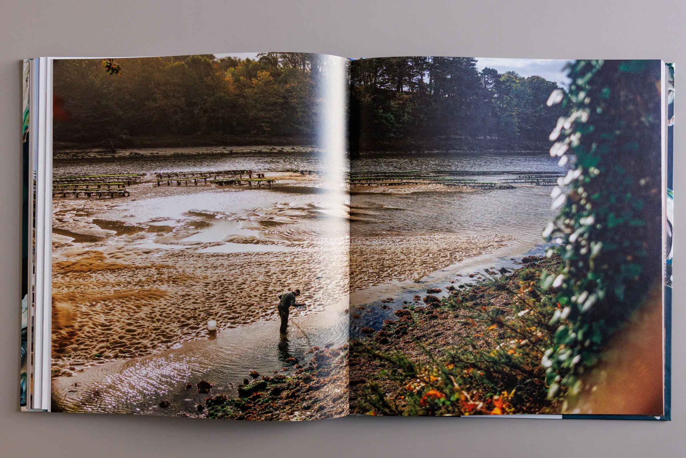 A TASTE OF BRITTANY — Callwey (DE)